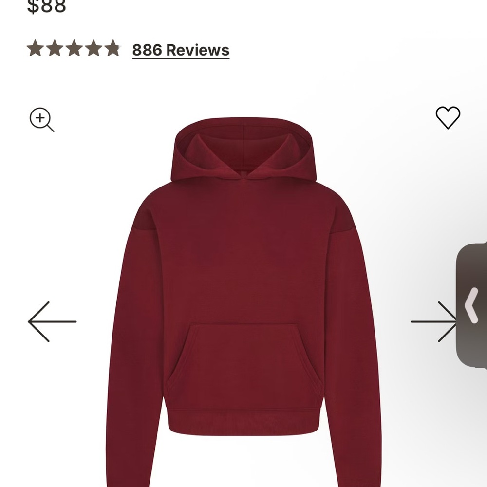 SKIMS Cotton Fleece Classic Hoodie in the color Brick - Picture 2 of 4